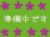雄宝